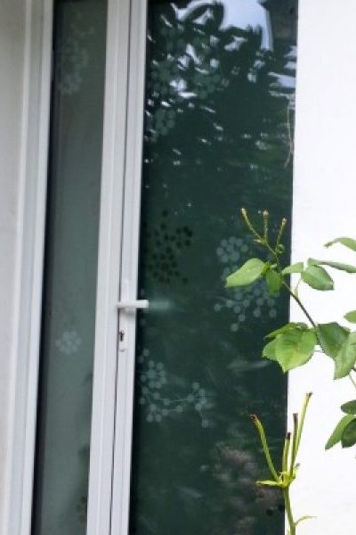 20130729_153816-900x600-1