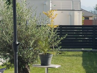 20170802_180654-scaled