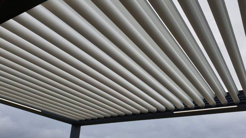 72680116_1649181868549409_5811911012932124672_o